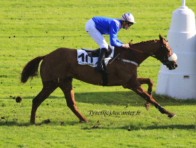 Photos Auteuil 27-10-2017 5j6a8318