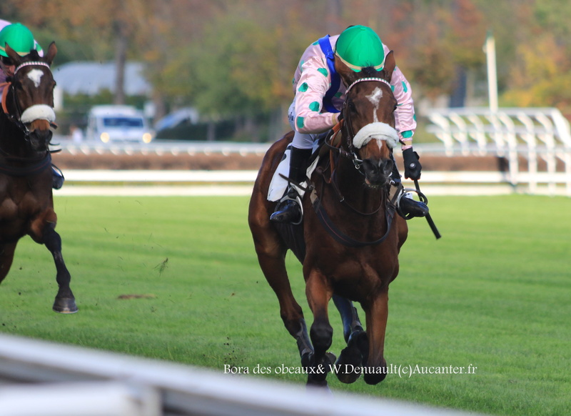 Photos Auteuil 27-10-2017 - Page 2 5j6a8419