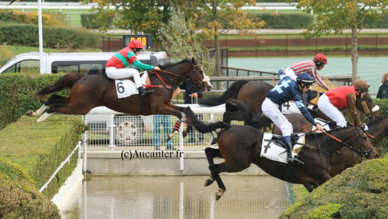 Photos Auteuil 4-11-2017 5j6a8612