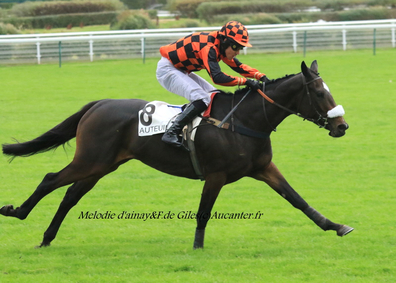 Photos Auteuil 4-11-2017 5j6a8724