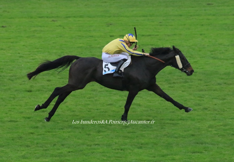 Photos Auteuil 4-11-2017 5j6a9011