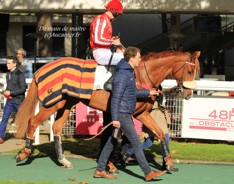 Photos Auteuil 5-11-2017 5j6a9214