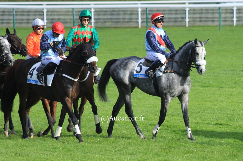 Photos Auteuil 5-11-2017 5j6a9322