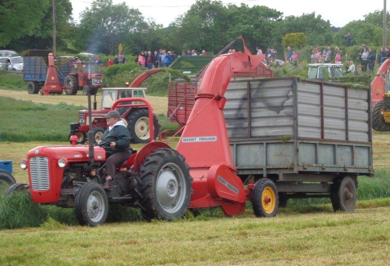 ensileuse - MASSEY FERGUSON  :ensileuse ou récolteuse de fourrage Vintag10