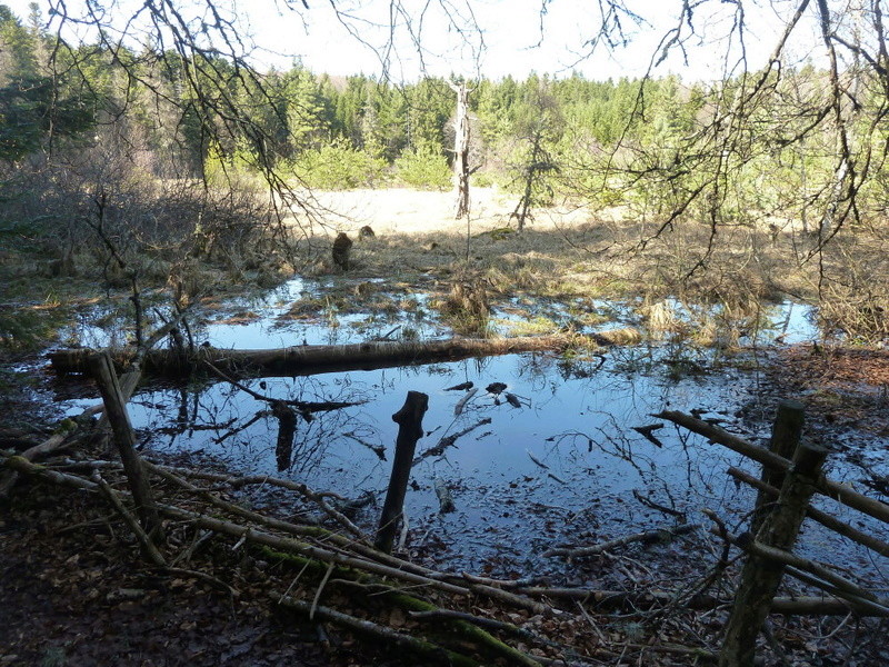 Allègre (43) sa potence et sa tourbière (mar) Mar410