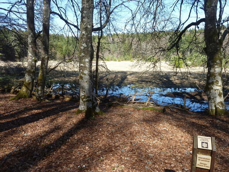 Allègre (43) sa potence et sa tourbière (mar) Mar610