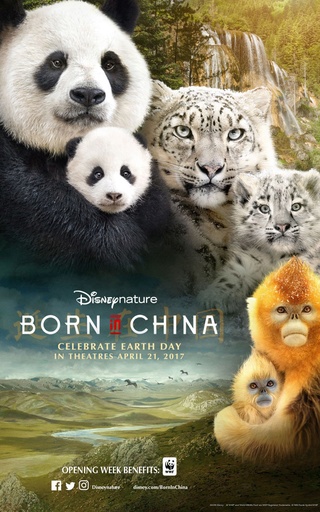 Kínában született (Born in China) 2016 BDRip x264 Hun mkv Kinaba10