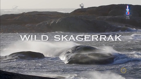 Skagerrak, a sokarcú tengerszoros (Wild Skagerrak) 2017 HDTV 720p x264 Hun mkv (12) Skager10