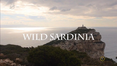  Szardínia, a sokarcú sziget (Wild Sardinia) 2015 TVRip x264 Hun mkv (6) Szardi10