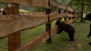 Univerzum - Dolomitok - Az Alpok ékköve (The Dolomites - In the Heroes' garden) 2016 HDTV x264 Hun mkv (12) Unive171