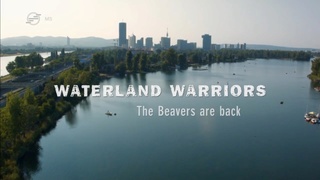 Univerzum - Bécs vadvilága - A hódok visszatérése (Wild Vienna - Waterland Warriors - The Beavers are Back) 2015 HDTV x264 Hun mkv  Unive259