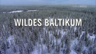 Univerzum - Vad Baltikum - Erdők és mocsarak (Wild Baltic: Forests and Moorlands) 2014 TVRip x264 Hun mkv Univer32