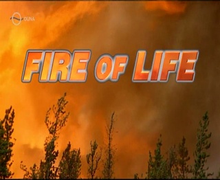 Univerzum - A tűz - A természet ősereje (Fire of Life) 1999 TVRip XviD Hun Univer44