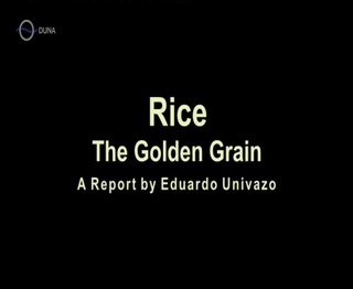 Univerzum - Rizs - Az arany gabona (Universum - Rice - The Golden Grain) 2013 TVRip XviD Hun Univer81