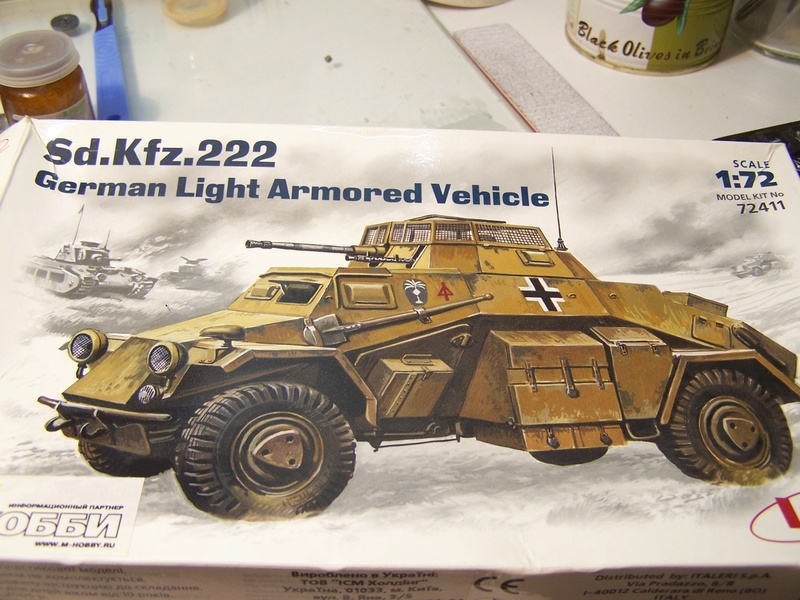 Les unitées de Reco Sdkfz 222 DAK ICM terminé 100_0221