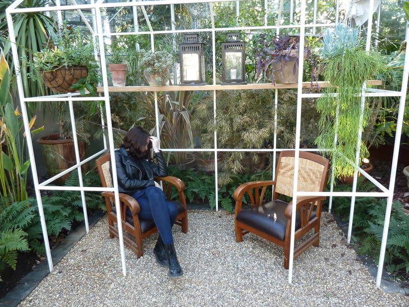 Déficoncours "Jardins sous verre" - Participations P1270910