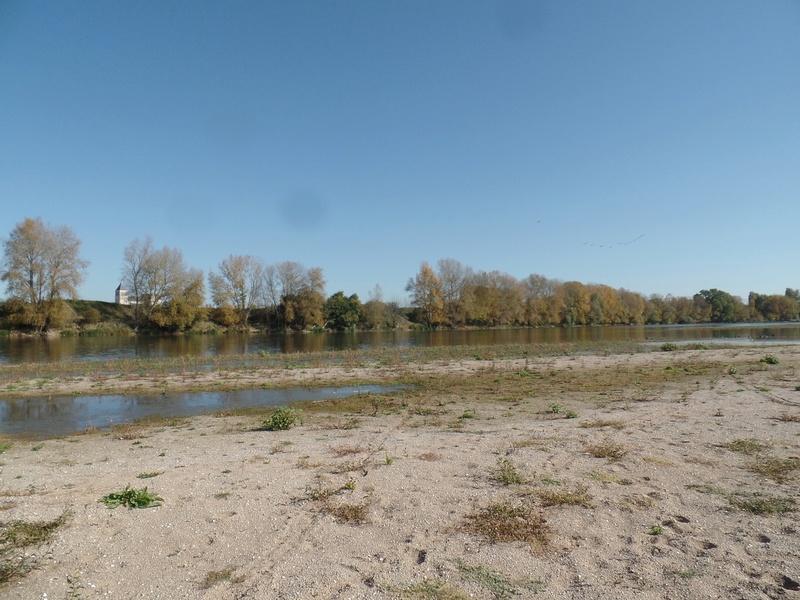 Sandillon, Chécy - Bords de Loire (45) Biotop14