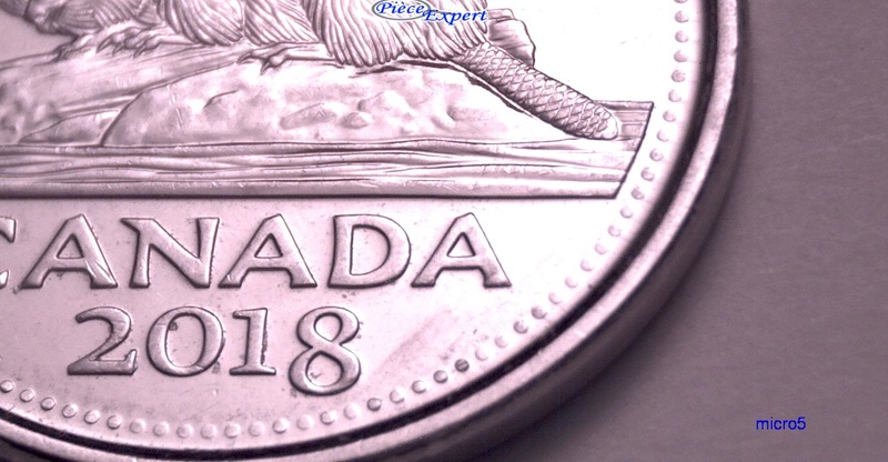 2018 - Queue Aplatie, Coin Obturé Cpe_i233