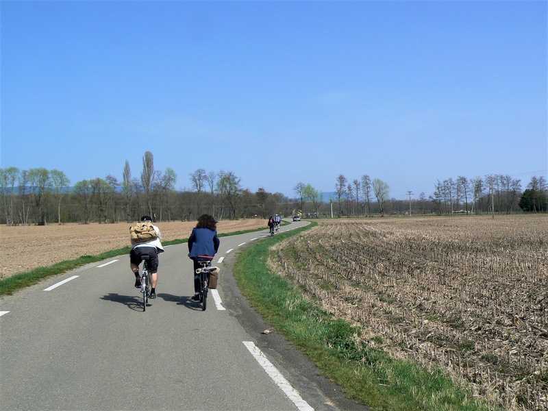 Balade à Colmar le 8 avril 2018 P1110027