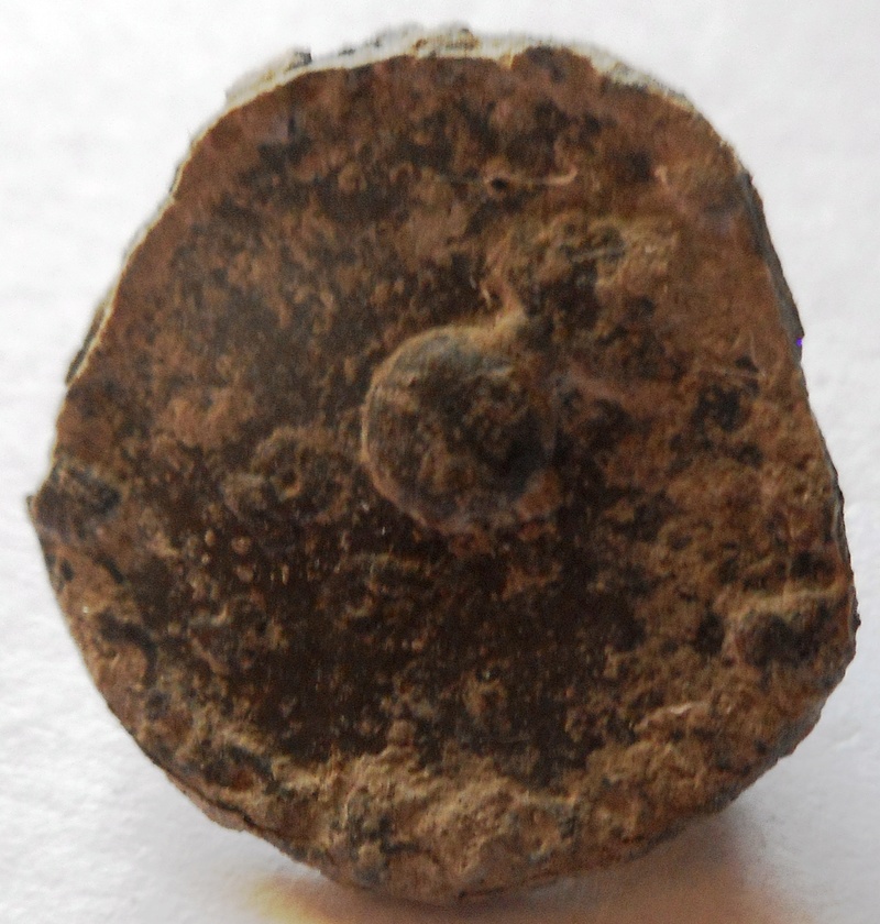 Un bouton à la grenade pour le 26e régiment de ? pèriode XVIIIe Dscn0833