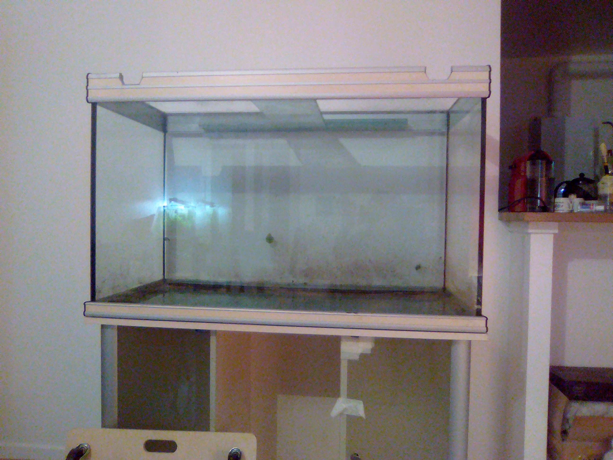 Custo de mon nouvel aquarium (475 litres net) Img_2012