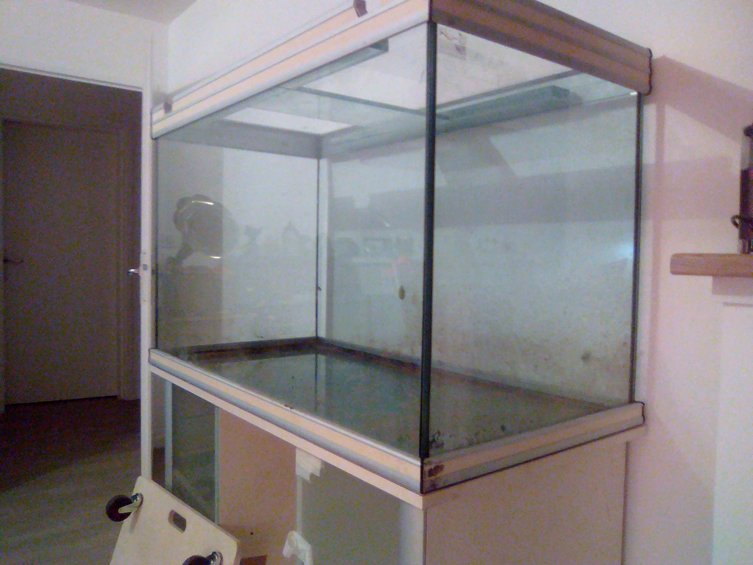 Custo de mon nouvel aquarium (475 litres net) Img_2015