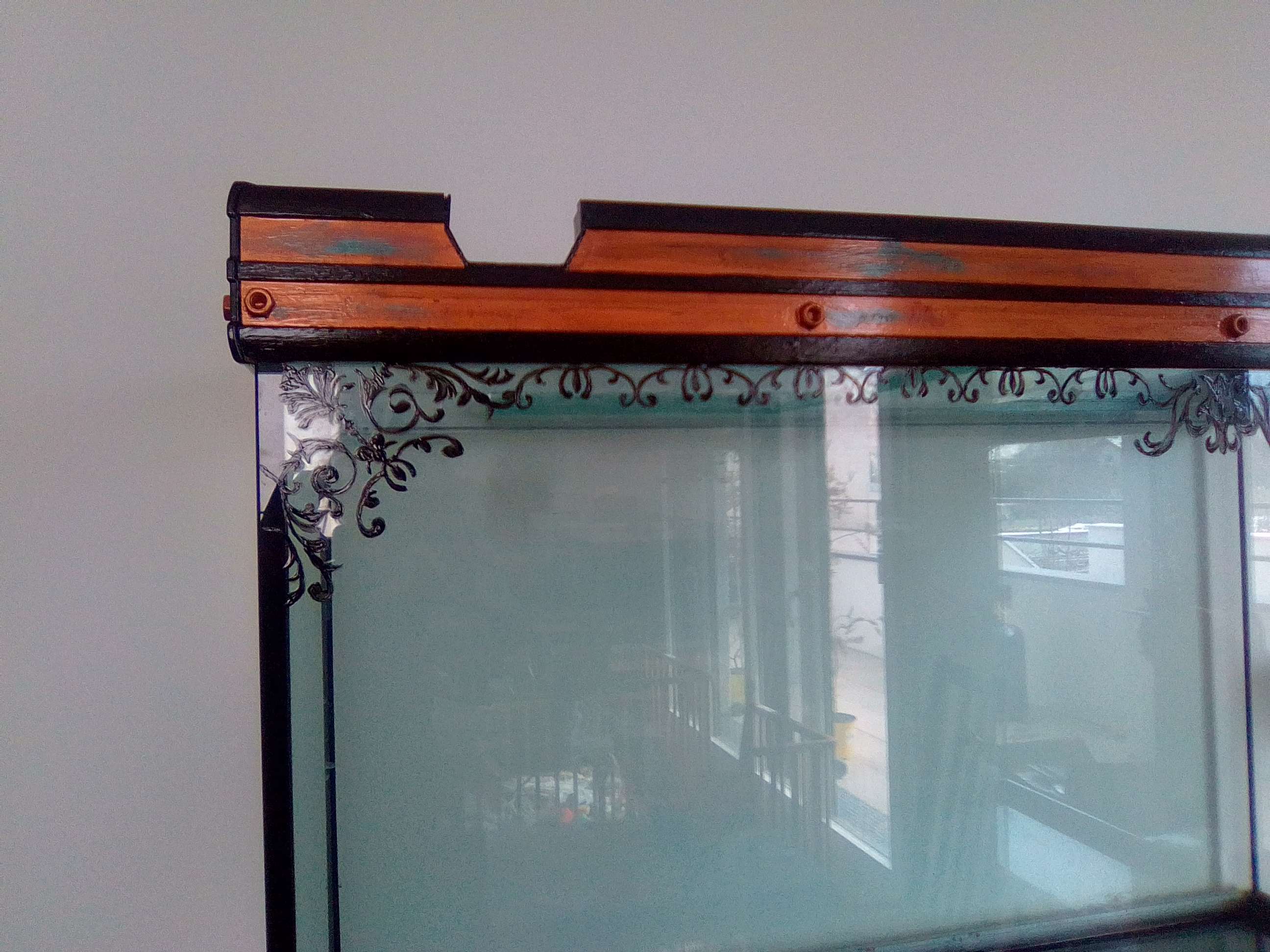 Custo de mon nouvel aquarium (475 litres net) Img_2044