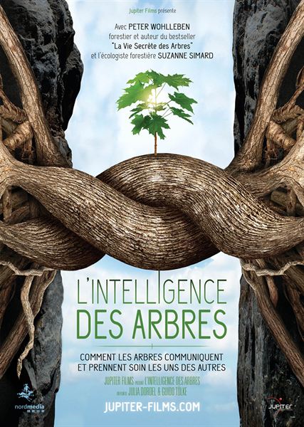 L'Intelligence des Arbres, n'est pas un rêve ! 22740310