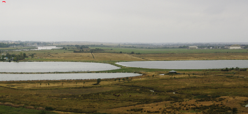 Les lagunes au camping _igp3713