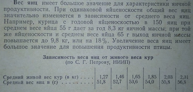 куры - Советы по разведению начинающему птицеводу - Страница 6 0520