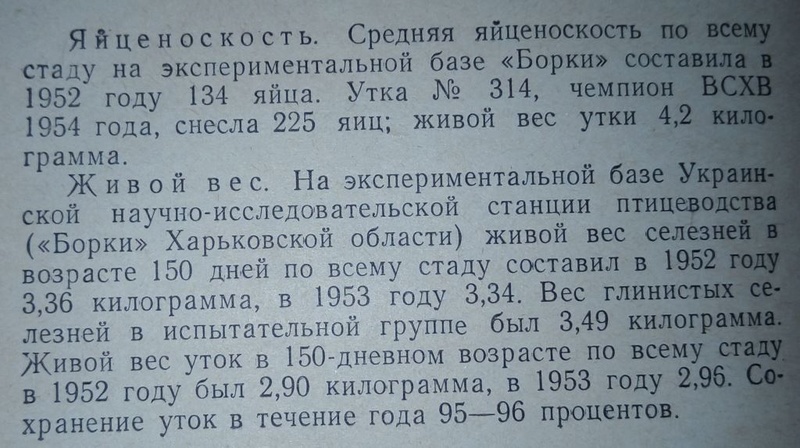 Утка Серая Украинская - описание породы - Страница 2 E310