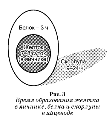 куры - Советы по разведению начинающему птицеводу - Страница 6 Image234