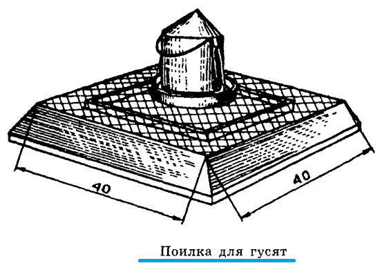 Вопросы новичка по содержанию уток, индоуток - Страница 11 Image_84