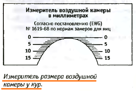 Советы новичку о курочках! - Страница 5 Image_86