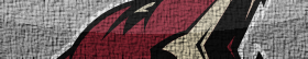 Arizona Coyotes