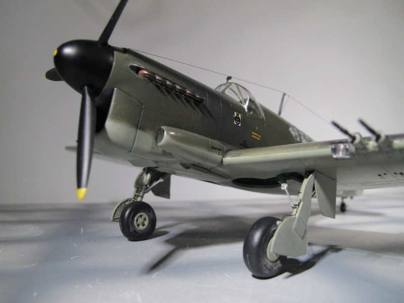 Fairey Firefly MK.I [Special Hobby] 1/48 - 5M Z1830  FAA  N° 1770 squadron - HMS Indefatigable - Juillet 1944 - Opération Mascot. Img_4391