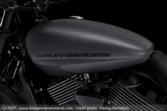 satiné, mate ou vernis? Harley11