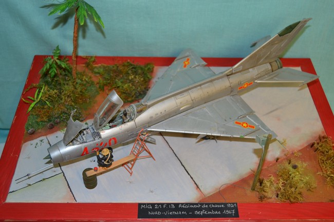 1/72 F 14 A Tomcat Hasegawa - Page 2 038_7510