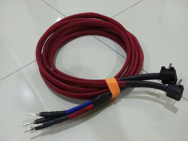 Naim NacA5 speaker cable ( Sold) 20180412