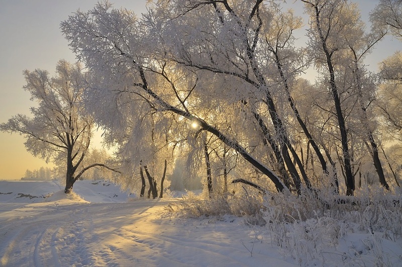 Zimski pejzaži-Winter landscapes - Page 41 68756110
