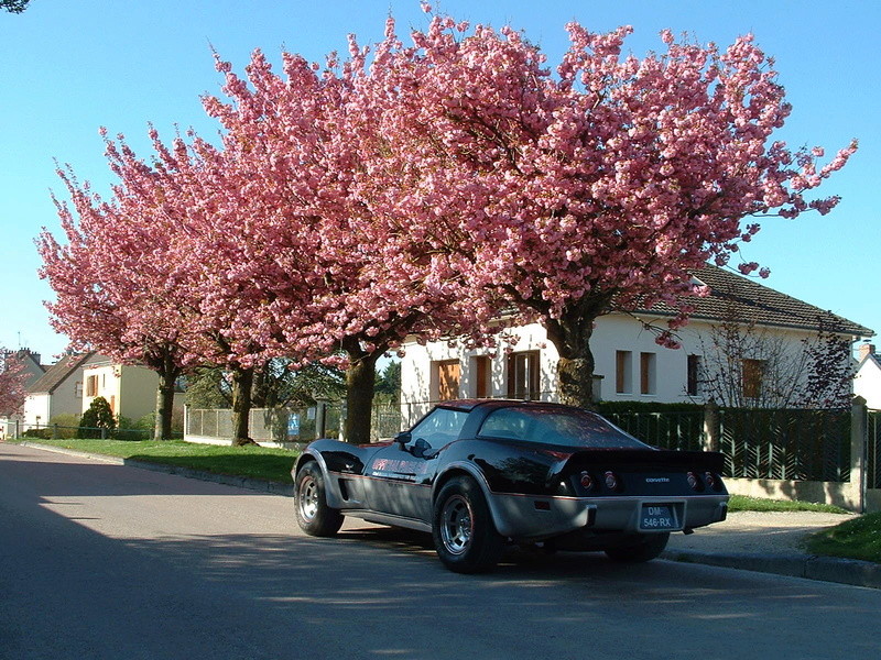 Indy Pace Car at home - Page 5 Dscf0038