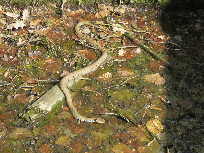 Jeudi 19 avril 2018. Img_1553