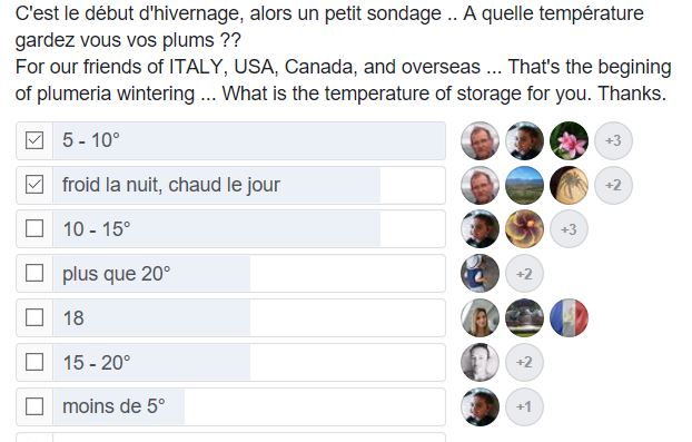 [sondage] Quelle température pour faire hiverner les frangipanier? Sondag10