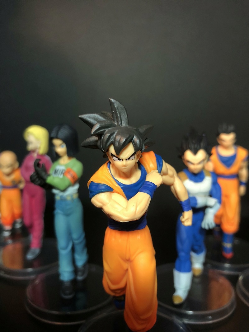 Dragon Ball Super - HG (High Grade Real Figure) 0snshd10