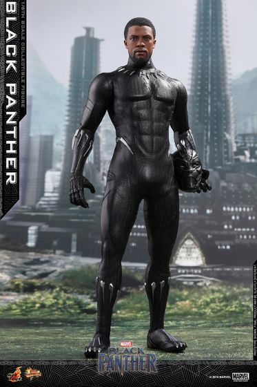 Black Panther 2.0 1/6 (HotToys) 13043110