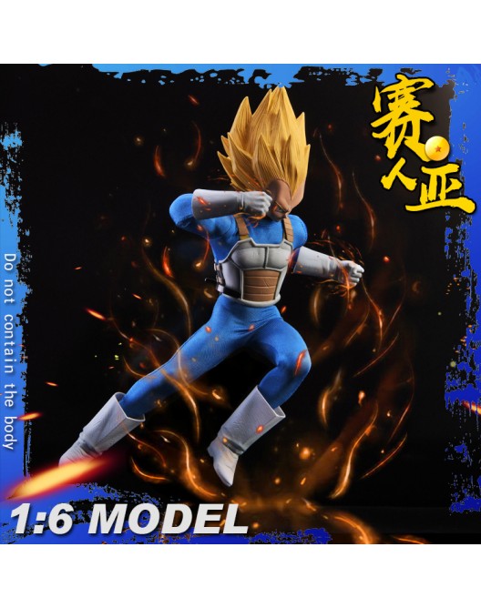 Dragon Ball Z : Scale Saiyan warrior Ku Costume set 1/6 (TYS Cosplay) 15485210
