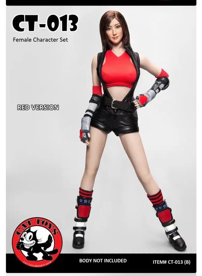 Female Character set 1/6 (Cat Toys Brand™) 16571410