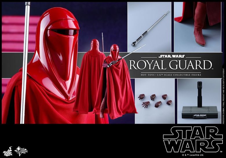 Star Wars VI Return of the Jedi : 1/6 Royal Guard (Hot Toys)  19315510