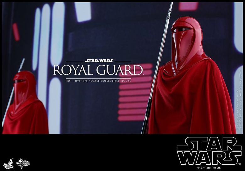 Star Wars VI Return of the Jedi : 1/6 Royal Guard (Hot Toys)  19325510