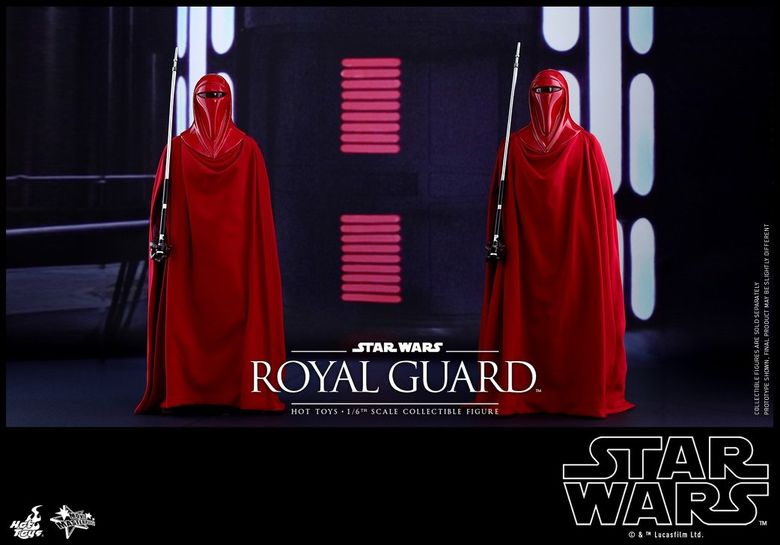 Star Wars VI Return of the Jedi : 1/6 Royal Guard (Hot Toys)  19330210